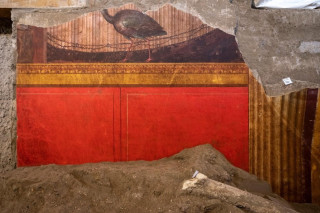 Il nuovo scavo della Villa di Poppea a Oplontis