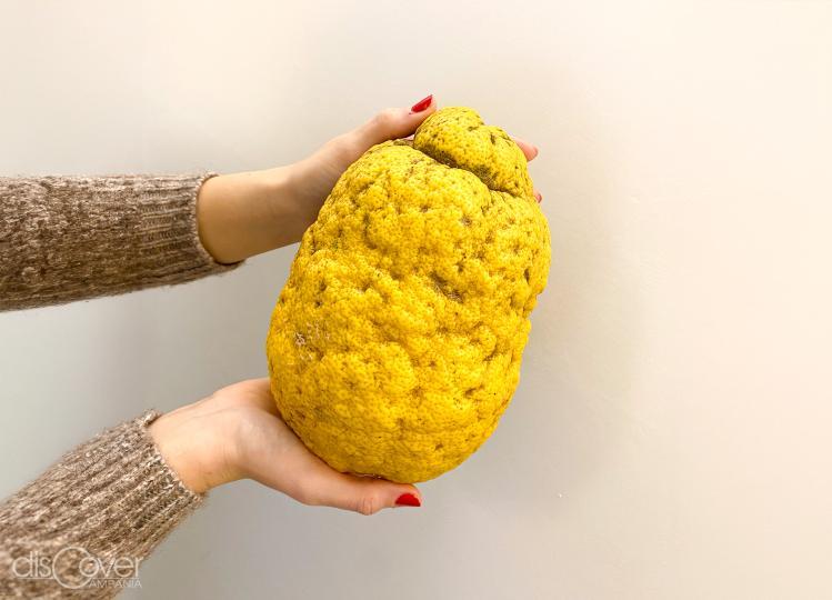 Dove il limone diventa pane nel piatto