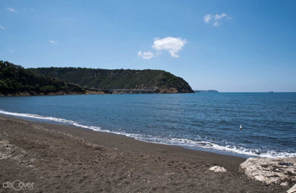 Schermata 2024 01 18 alle 11.46.10 1120 747